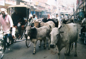 2003 Indien